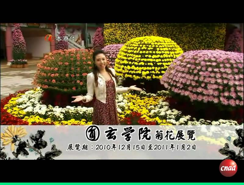 圓玄學院菊花展覽