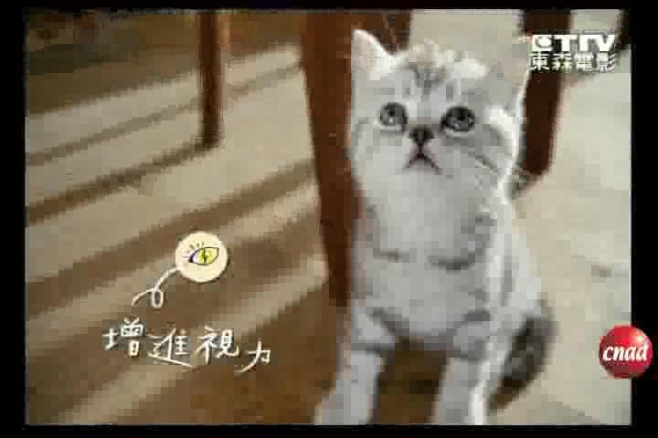 伟嘉妙鲜包