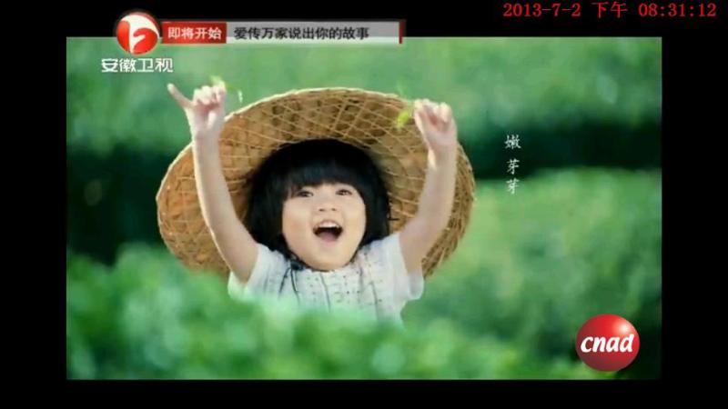 统一 绿茶