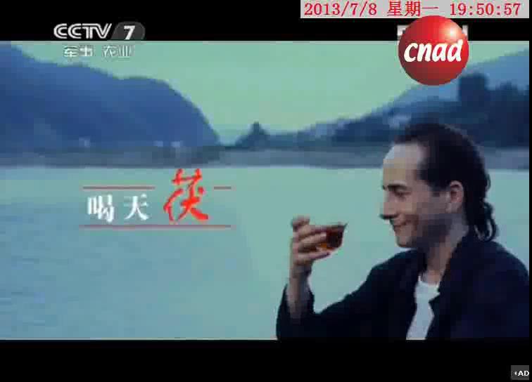 白沙溪   天茯茶