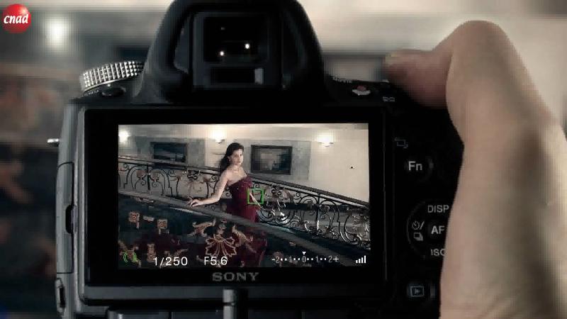 Sony Alpha DSLT A55