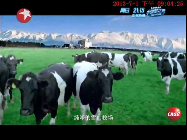 培儿贝瑞