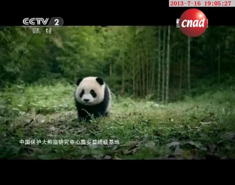 中国野生动物保护协会