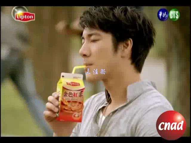 王力宏—Lipton 金色紅茶