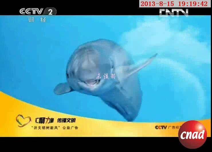 拯救长江江豚 刻不容缓