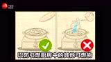 灭火逃生宝典