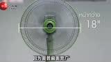 这就是你要的完美情人