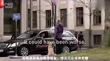 当导盲犬变成了其它动物