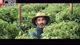 一瓶番茄酱