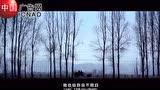 滑沙小子