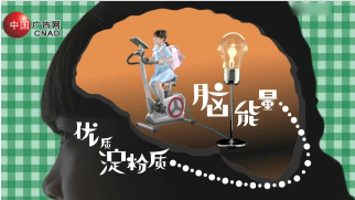 大脑篇