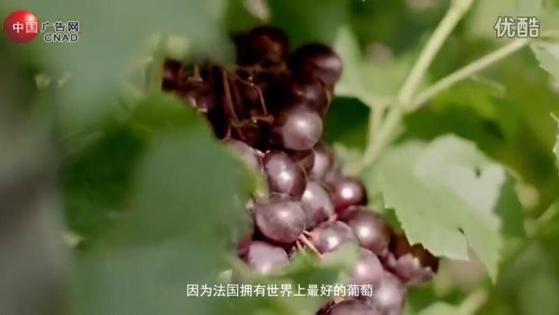 清润葡萄籽膜力双重精华露