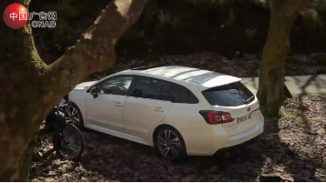 Subaru Levorg 2019