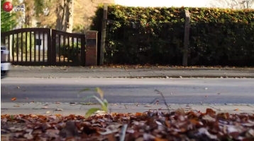 Surprise